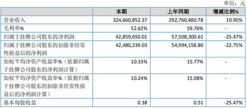圣博潤(rùn)披露2020年報(bào) 盈利下滑超25%，信息技術(shù)咨詢服務(wù)或重啟精選層小IPO審查